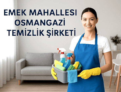Azadlıq Mahallesi Nizami Temizlik Şirketi